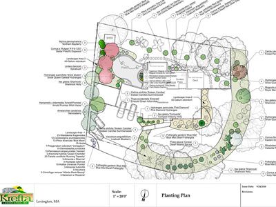 Landscape Design, Newton, MA design_3