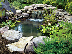 Ponds, Waterfalls, Brookline, MA Ponds, Waterfalls, Brookline, MA