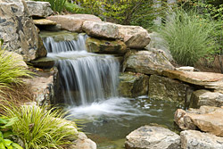 Ponds & Waterfalls Ponds & Waterfalls