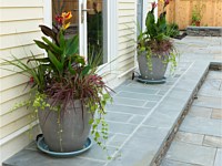 Walkway, Steps, Planters, Concord, MA