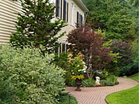 Walkway, Steps, Planters, Lexington, MA