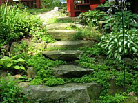 Steps, Walkway, Burlington, MA