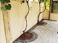 Paver Patios &amp; Driveways